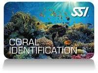 coral_identification