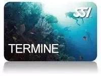 ssi-termine