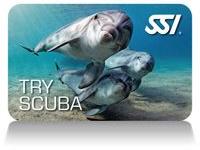 Try Scuba