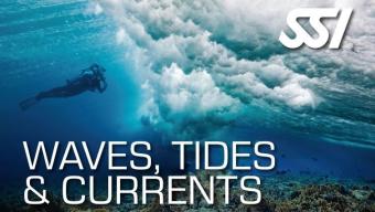 190316-472547_Waves, Tides & Currents (Small)