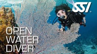 190356-472523_open-water-diver-_small_