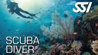 190365-472519_Scuba Diver (Small)