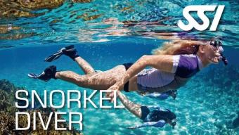 190372-470000_Snorkel Diver (Small)