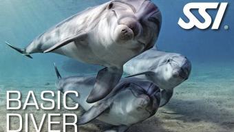 basic-diver-ssi